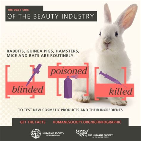 research impacts brands with animal testing|animal testing beauty products.